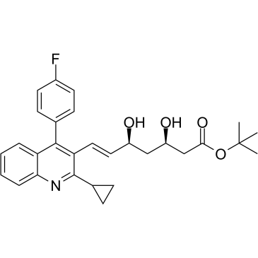 tert-Buthyl Pitavastatin 586966-54-3